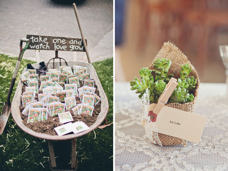 cadeaux graine et plant pour mariage